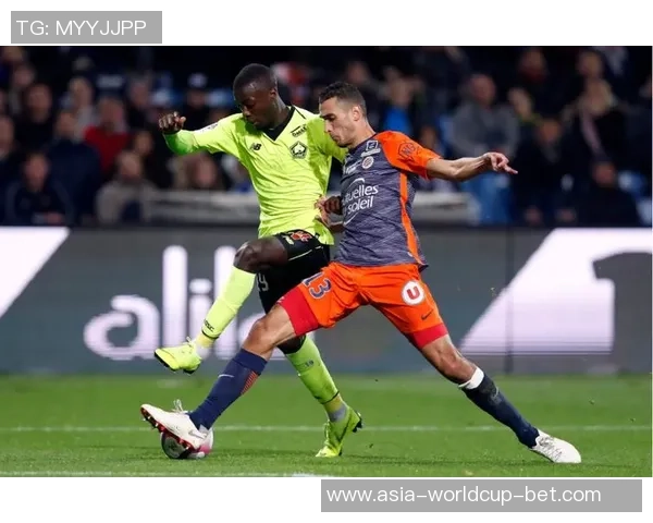 梅斯足球队的辉煌历程与未来展望：从地方球队到法甲强队的蜕变之路